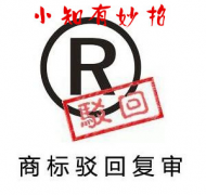 一招应对商标审查后的几种结果
