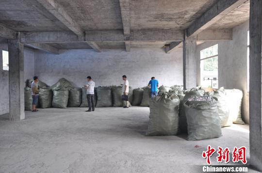重慶破獲特大非法制售注冊商標標識案 案值超千萬