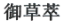 杭州巨美生物科技有限公司商标注册证已下发