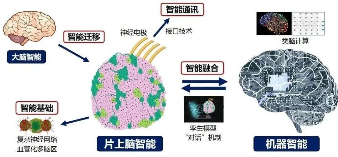 微信图片_20240703102139.jpg